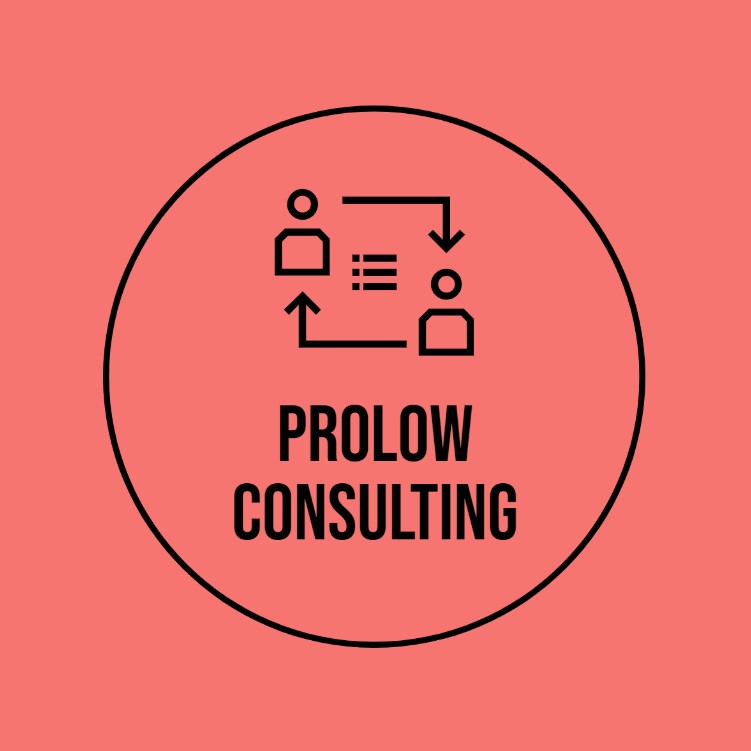 ProLow Consulting